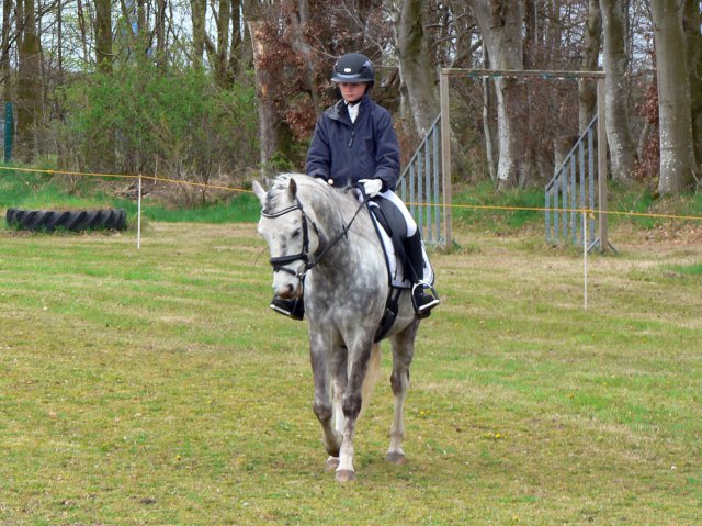 Reitertag 2026 April